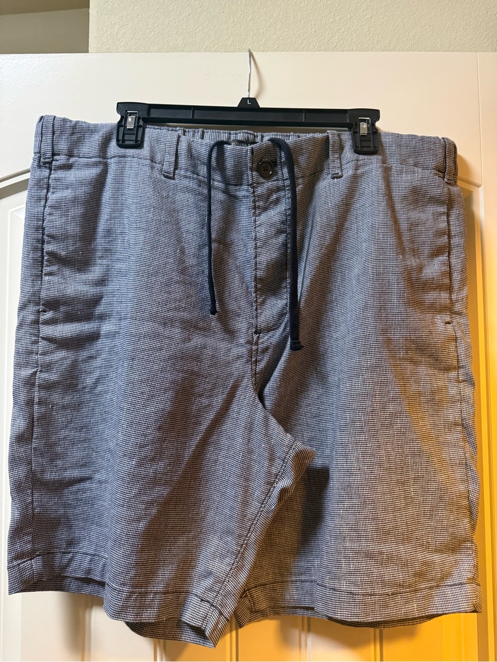Banana Republic Navy and White Aiden Short